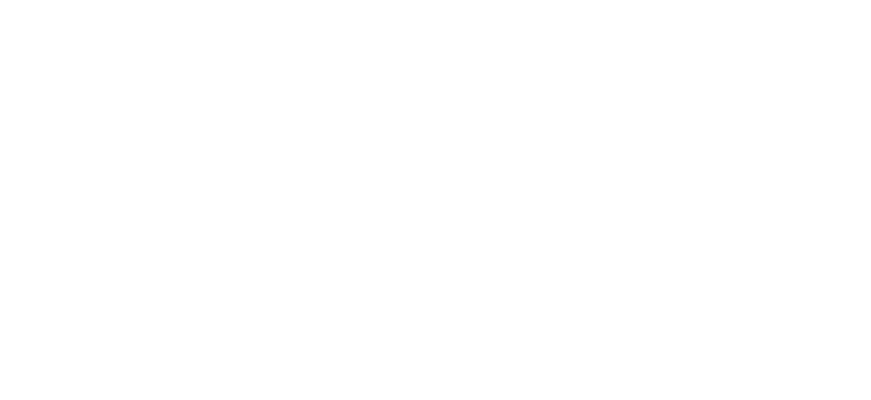 ETNOWE logo